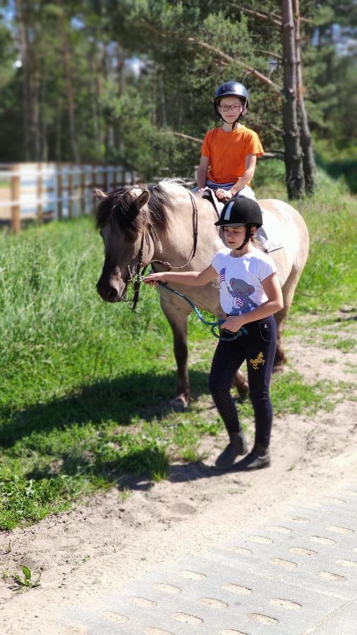 Willa Wanda - Duzy Ogrod Z Hot-Tube I Sauna Sztum Luaran gambar
